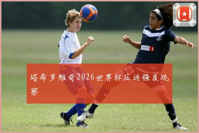 塔希罗维奇2026世界杯压迫强度观察