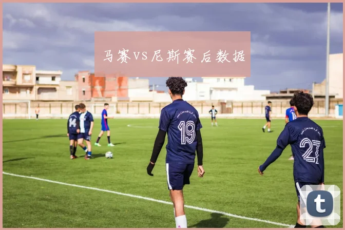 马赛vs尼斯赛后数据