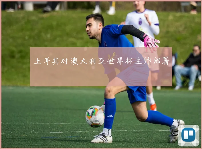土耳其对澳大利亚世界杯主帅部署