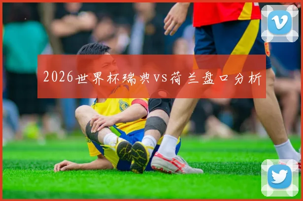 2026世界杯瑞典vs荷兰盘口分析