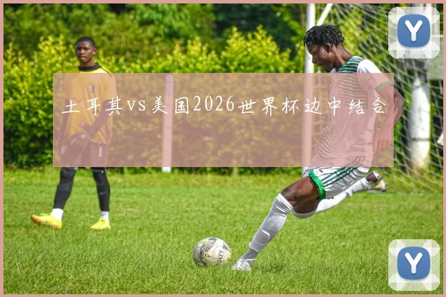 土耳其vs美国2026世界杯边中结合