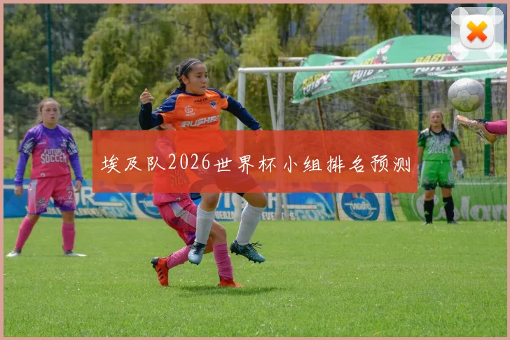 埃及队2026世界杯小组排名预测